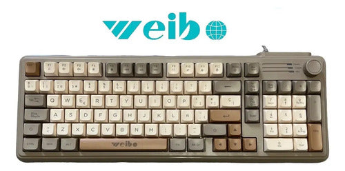 Teclado Gamer Diegmark Wb222 Con Perilla Multifunción Rgb Y Panel Numérico Gris Español Latinoamericano