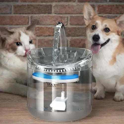 Fuente De Agua Dispensador Automática Para Perros Y Gatos Bebedero Agua Transparente
