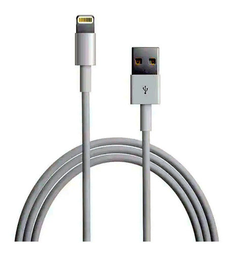 Cable Usb 3.0 De 1 Metro Blanco De Alta Velocidad Compatible Con iPhone, iPad Y iPod  Carga Rápida Y Transferencia De Datos Estable Para Dispositivos Compatible iPhone