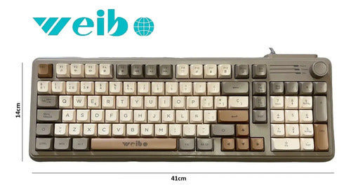 Teclado Gamer Rgb Weibo Wb-222 Con Iluminación Multiefectos Perilla Usb Gris Español Latinoamericano